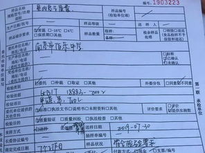 南京市伯乐中学开展教室空气质量与运动场材料全面检测 保障校园健康安全